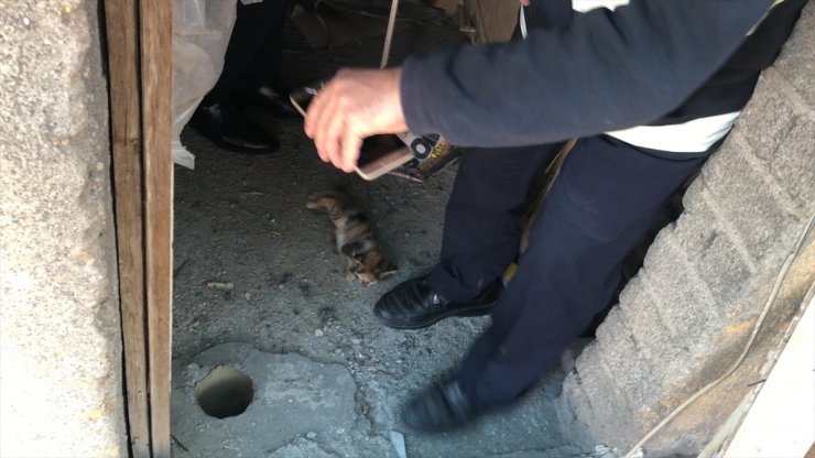 Karaman İtfaiyesi Kedi Kurtarma Operasyonunda