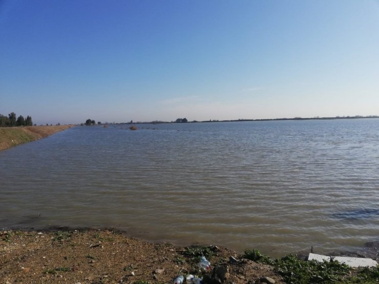 Mersin'de Seyhan Nehri Taştı, 30 Bin Dönüm Ekili Alan Sular Altında Kaldı