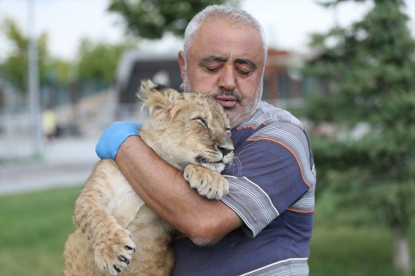 Hayvanat Bahçesinin Kralı 