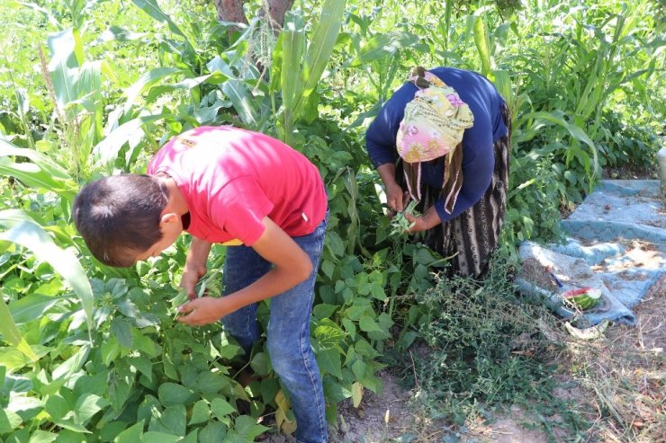 Aksaray'da Bahçeden Yol Kenarında Sıcak Satış