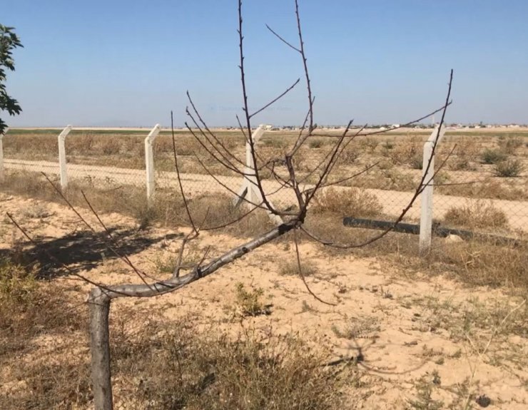 Aksaray’da Yeraltı Su Kaynaklarının Çekilmesinin Olumsuz Etkileri