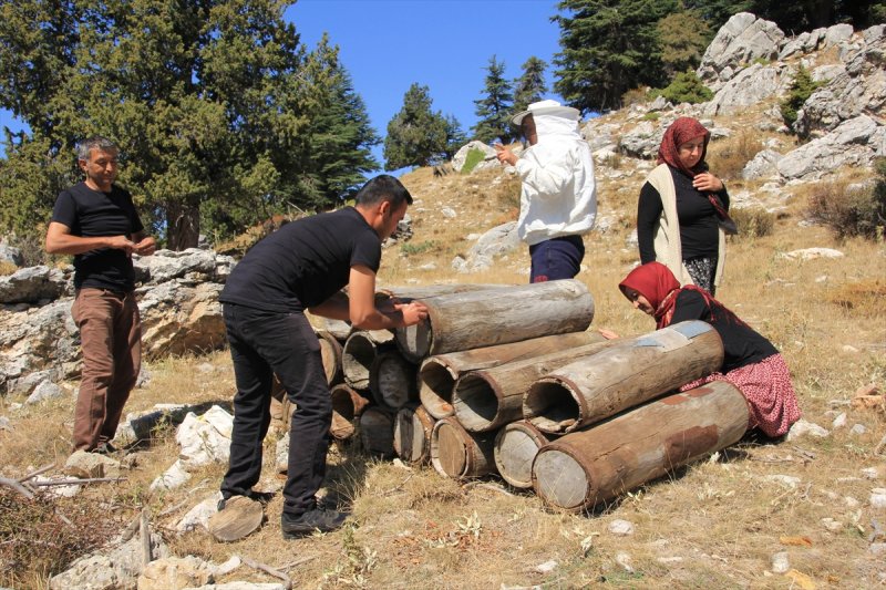 Dede Mirası Kara Kovanlarda Organik Bal Üretti