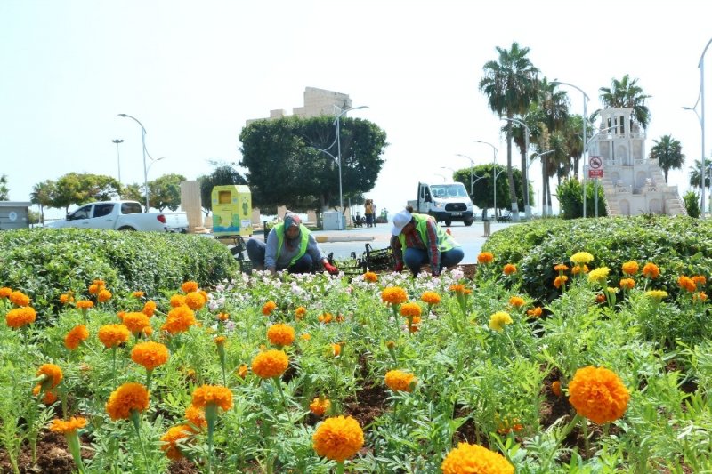 Mersin Büyükşehir Belediyesi, Sahada Görev Yapmak Üzere Toplam 100 Bayan Personel Alımı İçin Kolladı Sıvadı