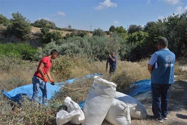 Türkiye’nin Biberiye İhtiyacının Yüzde 75’i Mersin’den