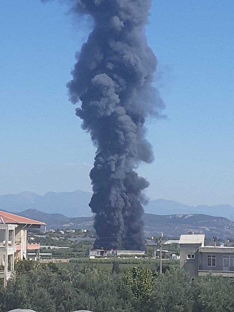 Soğuk Hava Deposunda Yangın Çıktı