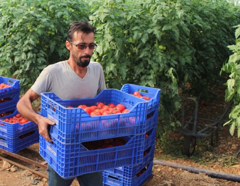 Antalya’da Çiftçiye Şok Yaşatan Ceza