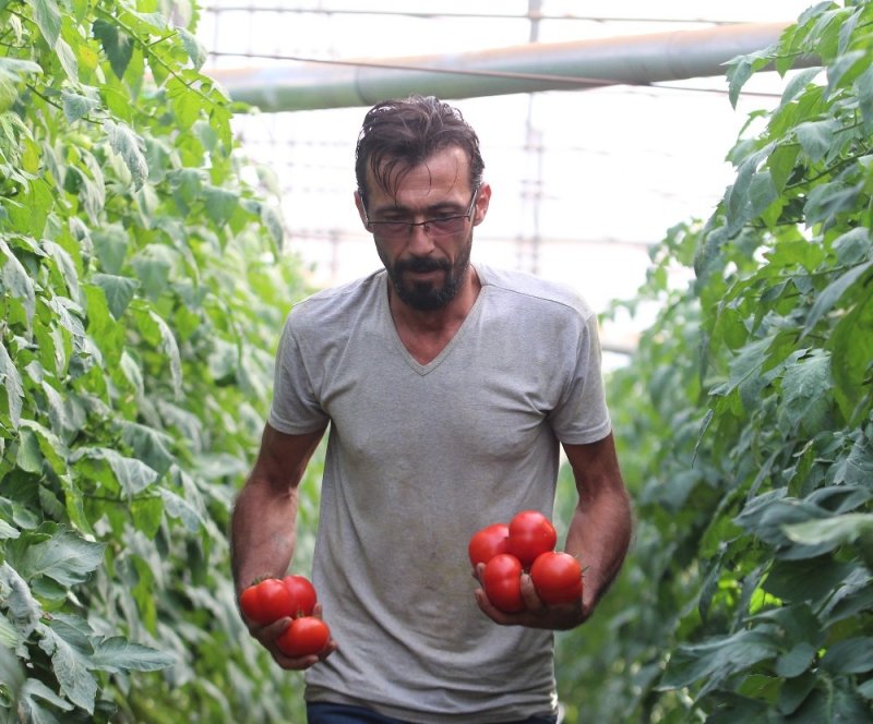 Antalya’da Çiftçiye Şok Yaşatan Ceza