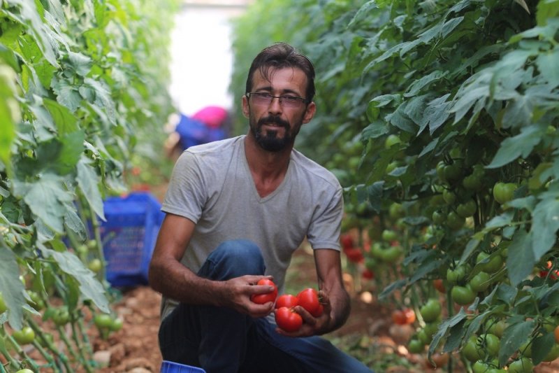 Antalya’da Çiftçiye Şok Yaşatan Ceza