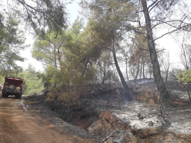 Kumluca’da Orman Yangını