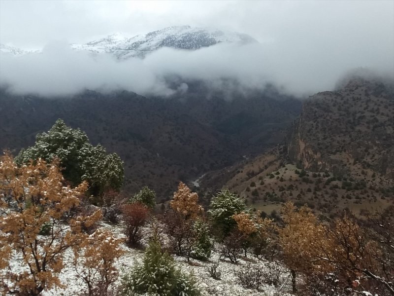 Karaman'da Yaban Domuzu Avı Düzenlendi