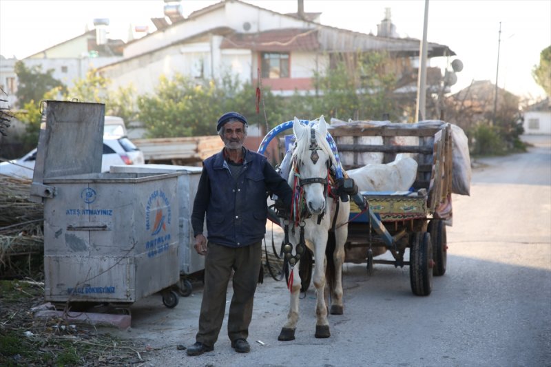 Antalya'da Faytonlar Yasaklanınca Kağıt Toplamaya Başladı