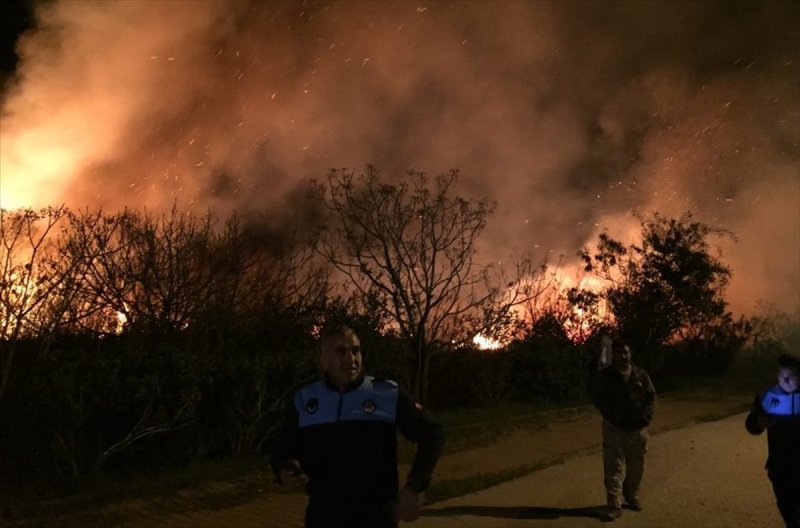 Antalya'da Sazlık Yangını