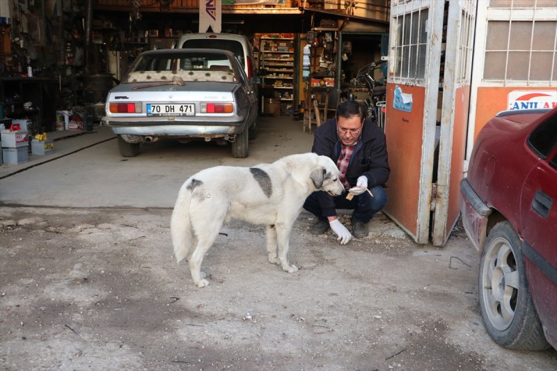 Karamanlı Ustanın Her Sabah Yolunu Gözlüyor