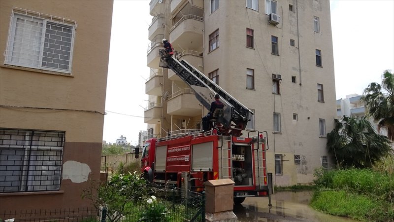 Ördekler Mersin'de Boş Evin Balkonunda Mahsur Kaldı