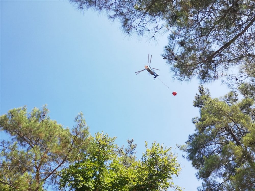 Antalya'da Çıkan Orman Yangını Söndürülmeye Çalışılıyor