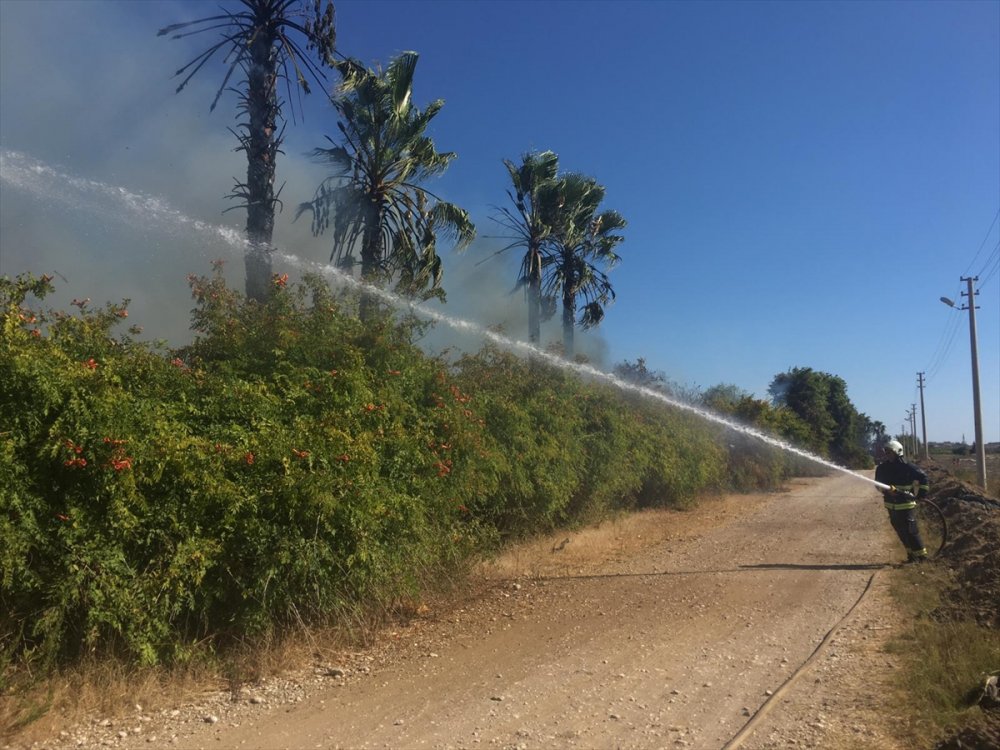 Antalya'da Hamamda Başlayan Yangın Ağaçlık Alana Sıçradı