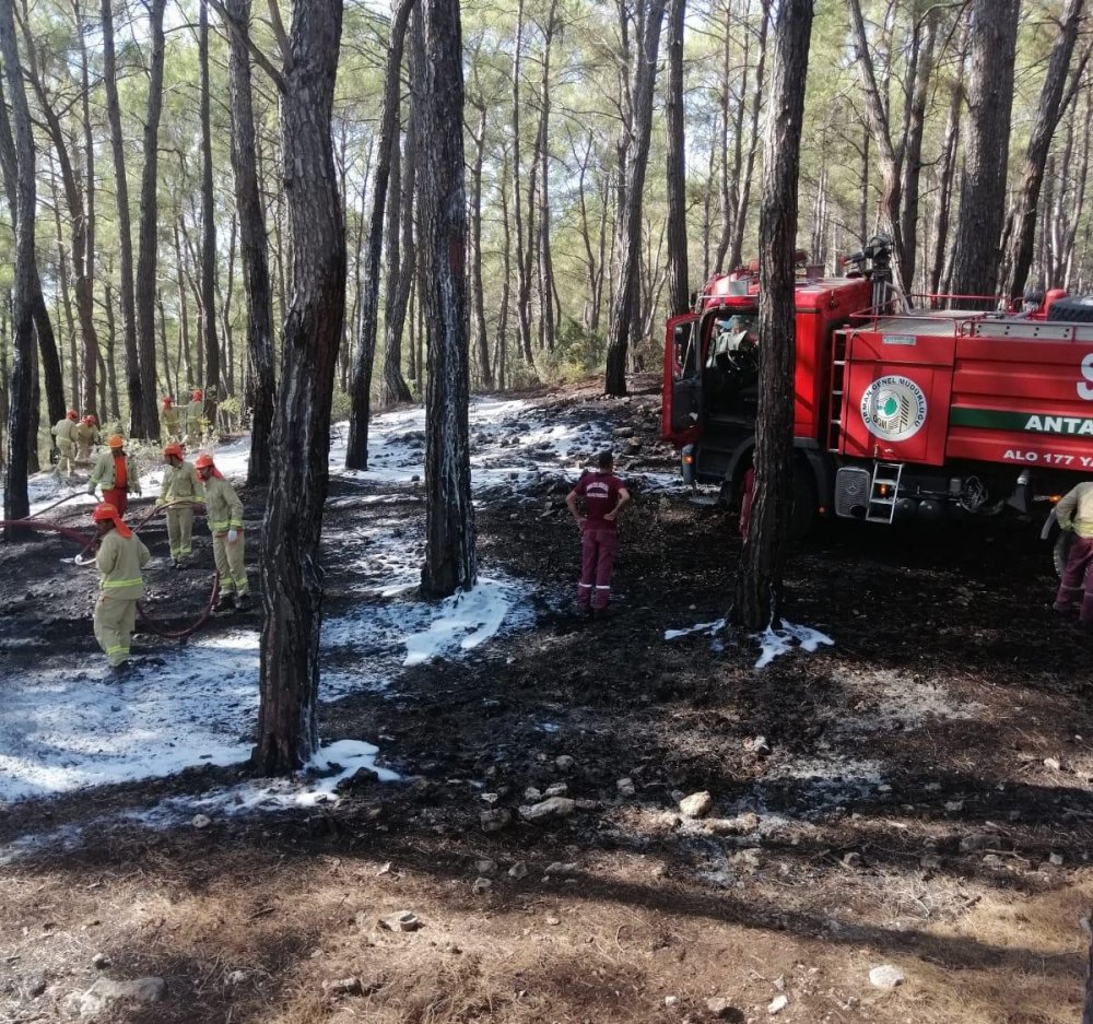 Antalya'da Çıkan Yangınlar Söndürüldü