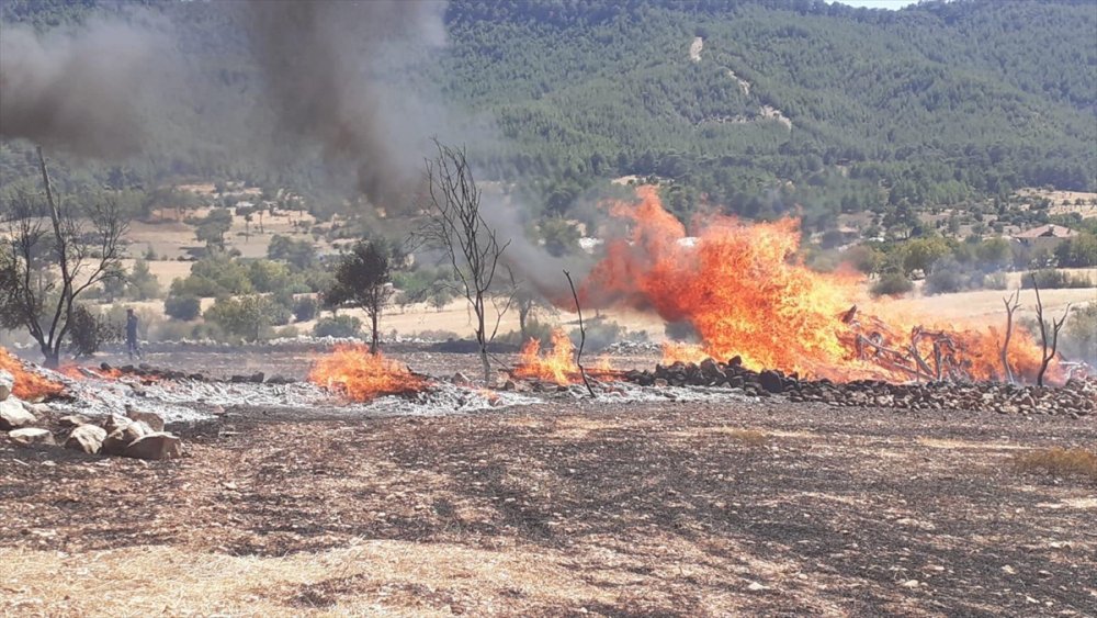 Antalya'da Anız Yangınının Sıçradığı Ev Kullanılamaz Hale Geldi