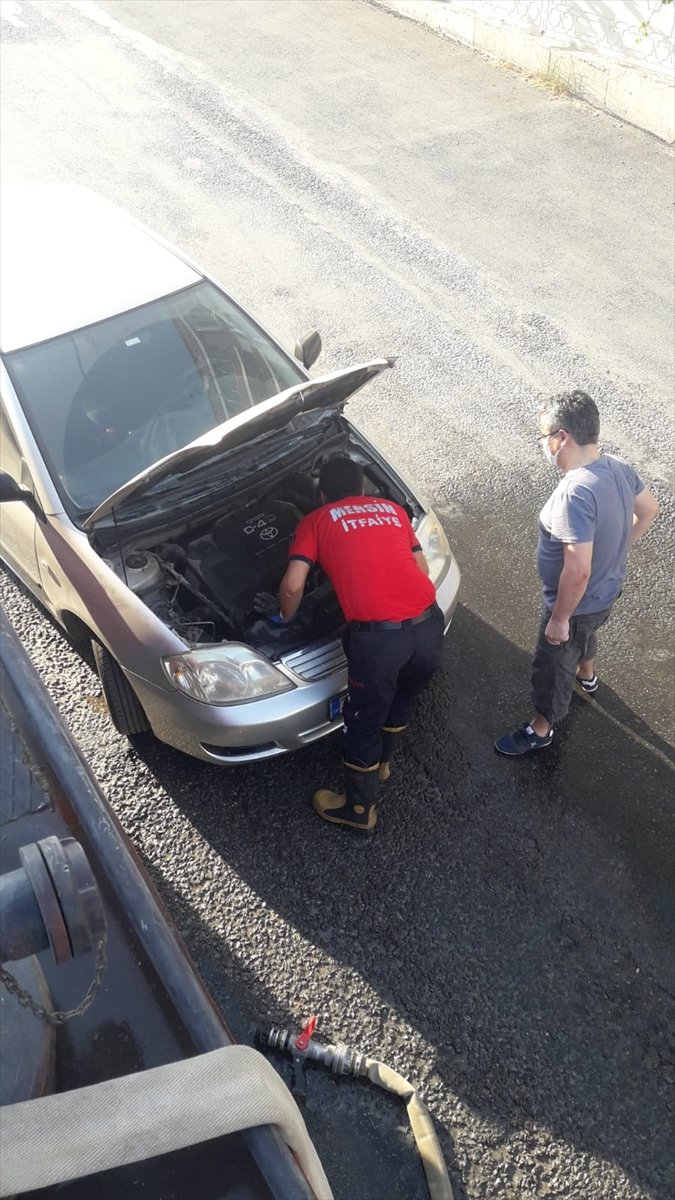 Mersin'de Otomobilin Motoruna Giren 4 Kedi Yavrusu Kurtarıldı