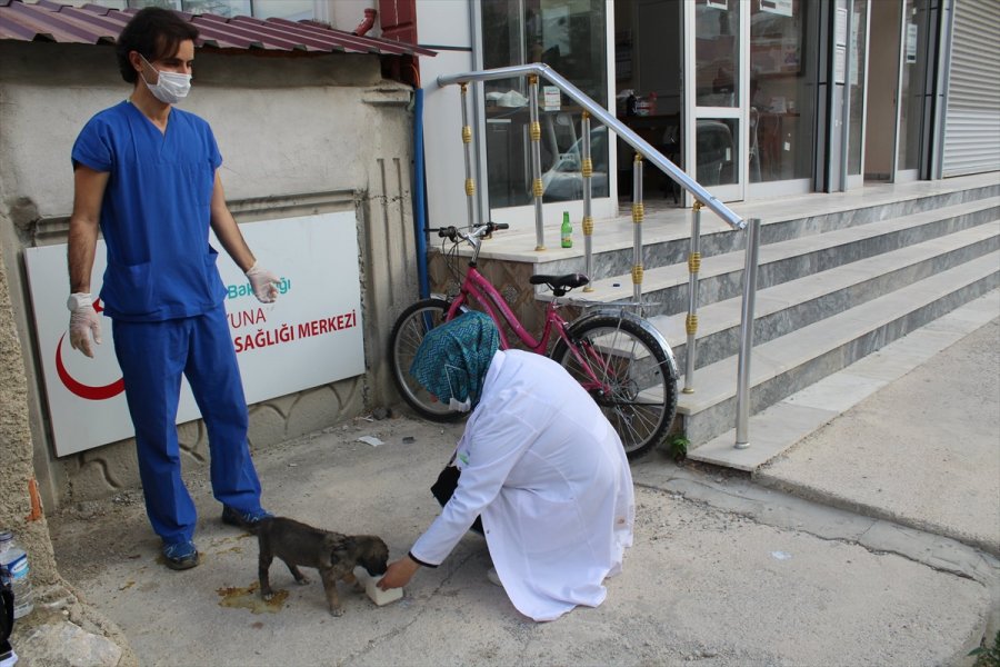 Konya'da Filyasyon Ekipleri Yaralı Yavru Köpek İçin Seferber Oldu