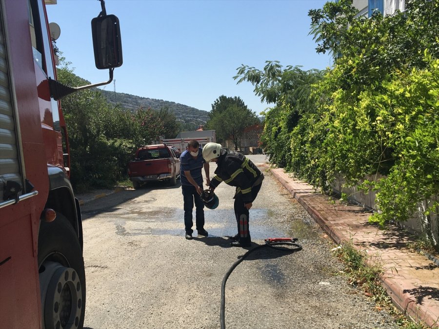 Yemek Yaparken Alev Alan Piknik Tüpünü Sokağa Fırlattı