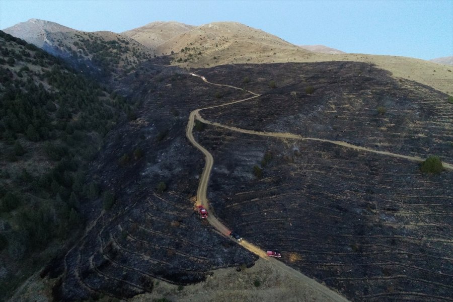 Kayseri'de Ormanlık Alanda Çıkan Yangın Kontrol Altına Alındı