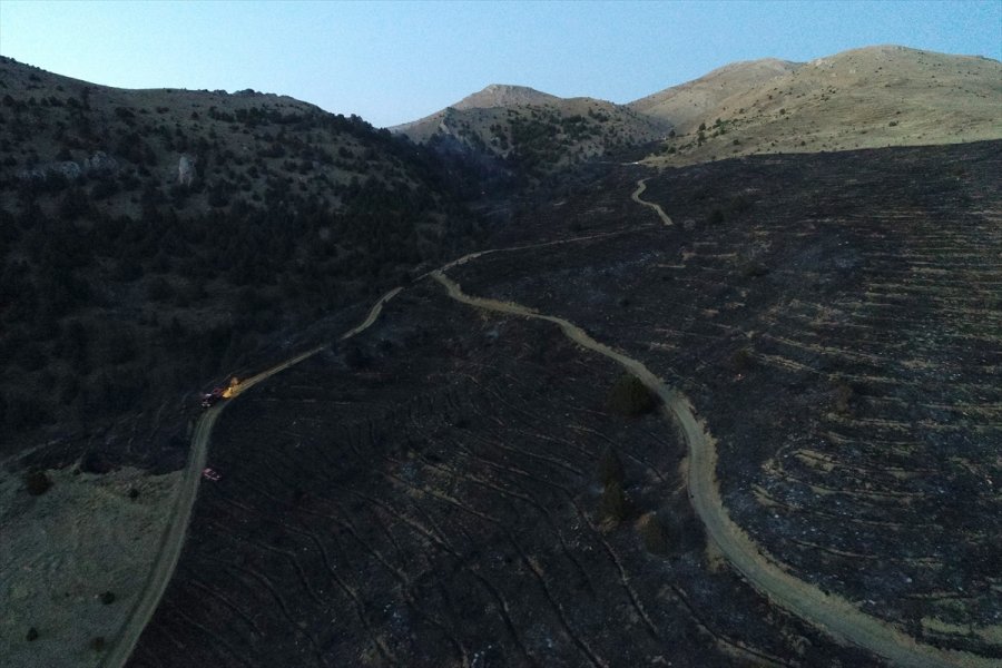 Kayseri'de Ormanlık Alanda Çıkan Yangın Kontrol Altına Alındı