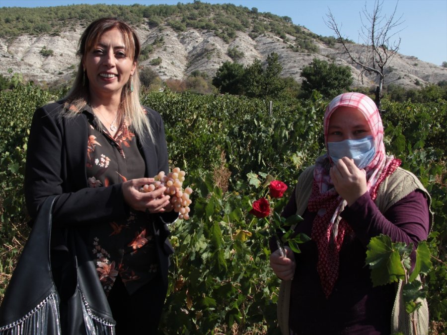 Beypazarı Tarım Ve Orman Müdürü Korkmaz'dan Kadın Çiftçilere Ziyaret