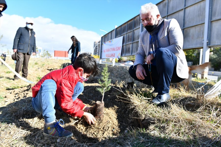 Ankara Kent Konseyi, İki Hatıra Ormanı Oluşturdu