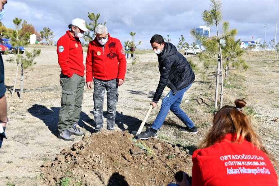 Ankara Kent Konseyi, İki Hatıra Ormanı Oluşturdu