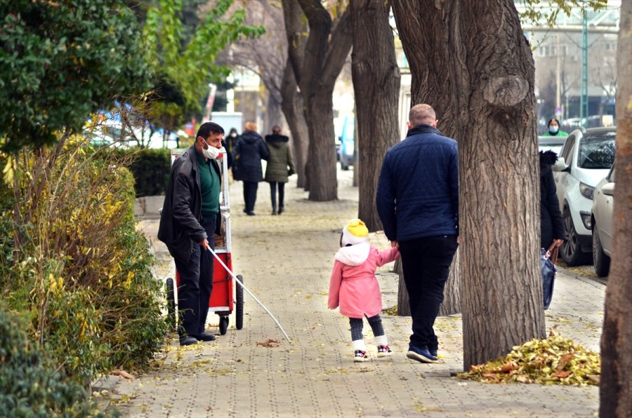 Taze Simitleri 