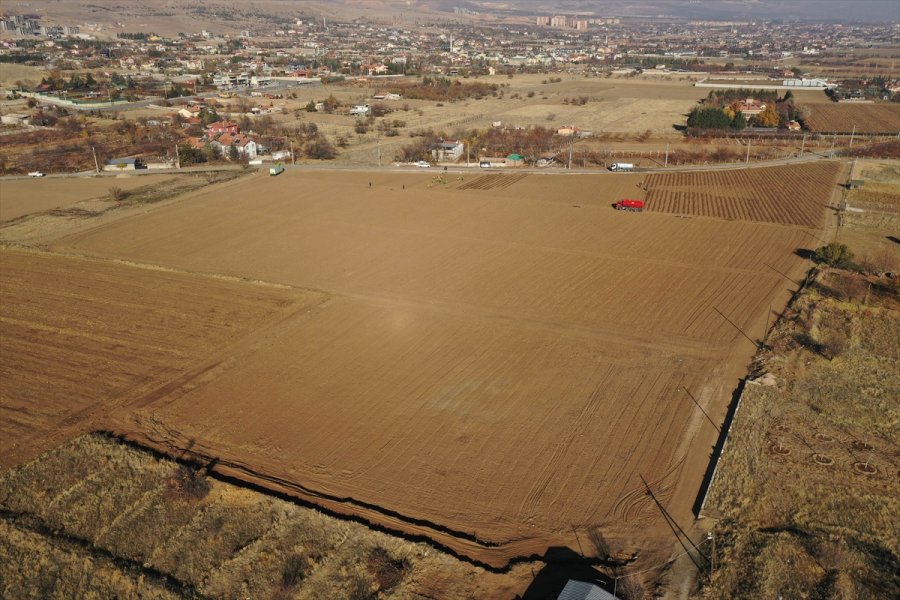 Konya'da Tıbbi Aromatik Bitki Bahçeleri Kuruldu