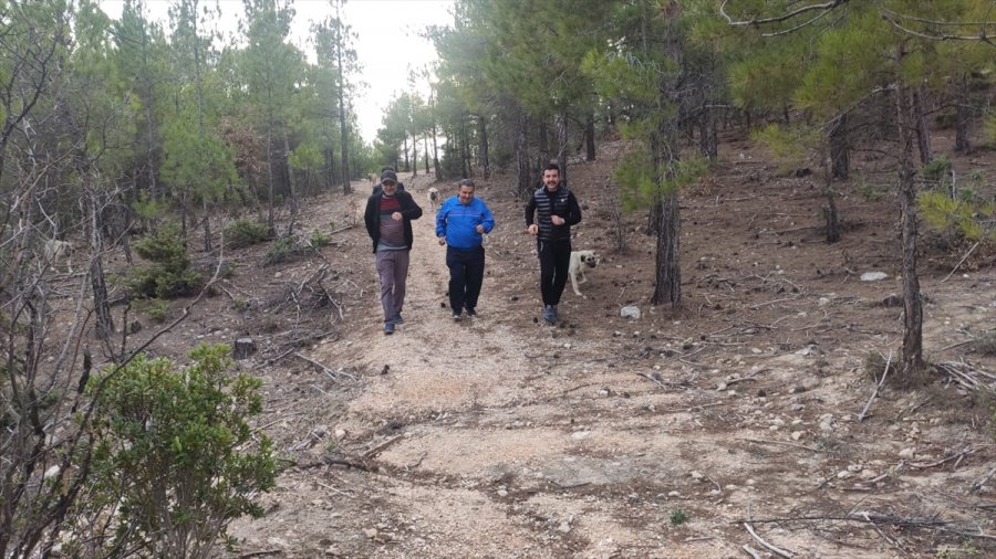 Gülnar'a Yeni Yürüyüş Yolu Yapıldı