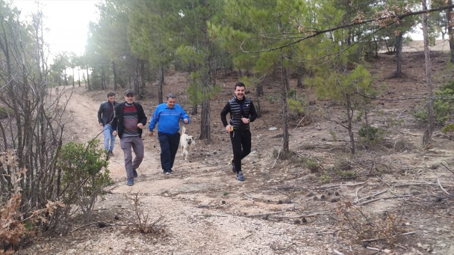 Gülnar'a Yeni Yürüyüş Yolu Yapıldı