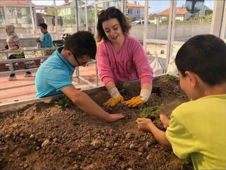 Konya'da Gıda Atıkları Kompost Oluyor