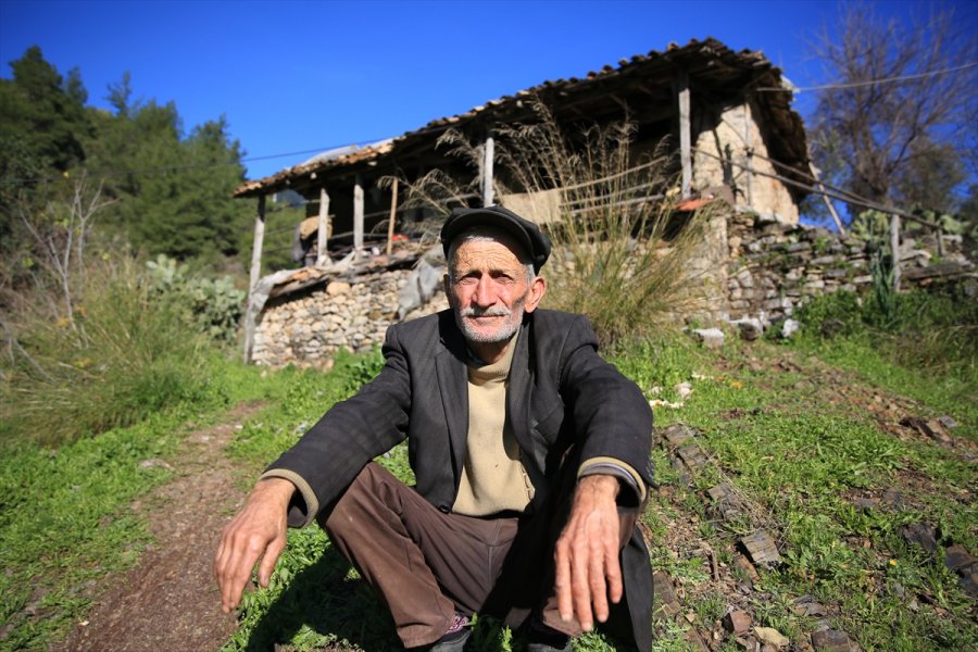 Eşinin Tek Emaneti Koça Gözü Gibi Bakıyor