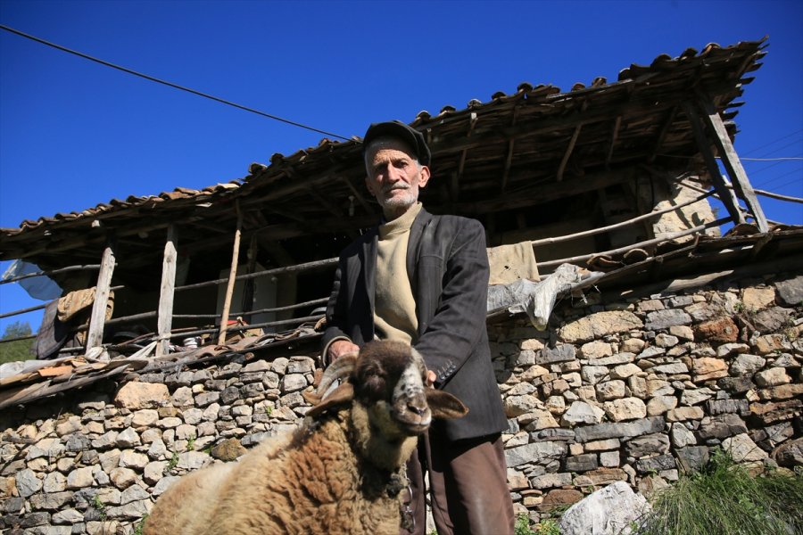 Eşinin Tek Emaneti Koça Gözü Gibi Bakıyor