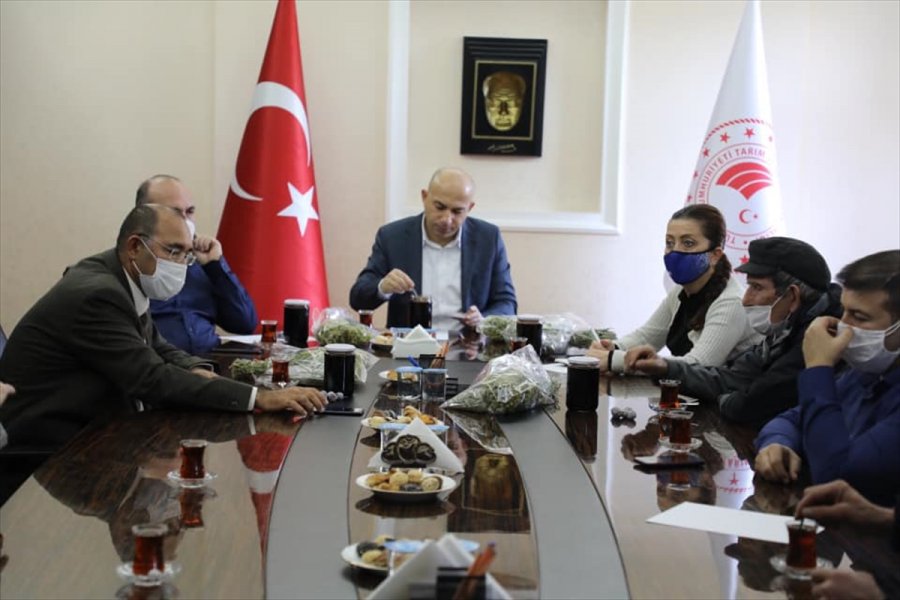 Akseki'nin Andız Pekmezine Coğrafi İşaret Alma Çalışmalarına Başlandı