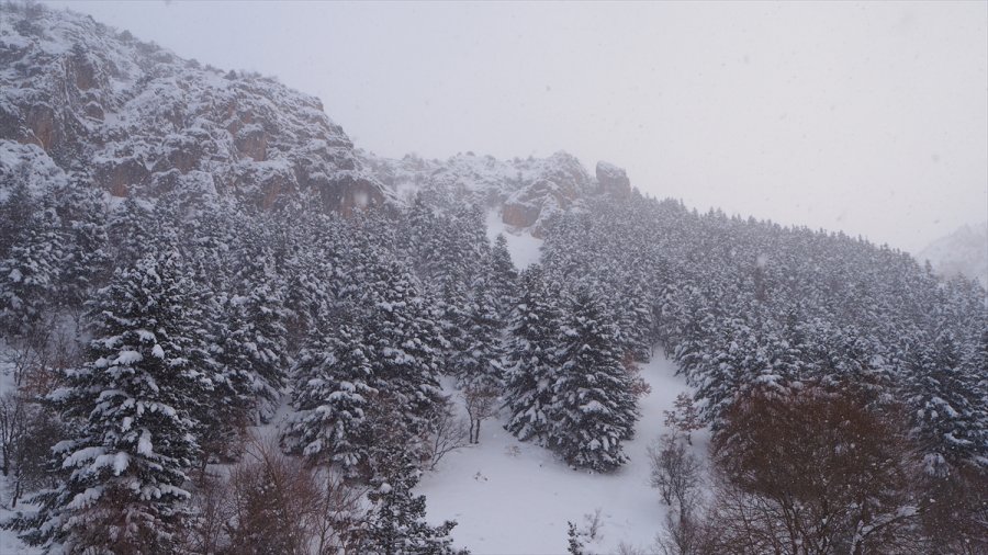 Bozkır'daki 