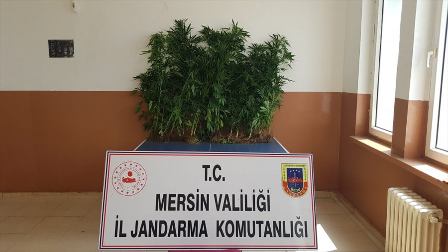 Mersin'de Uyuşturucu Operasyonunda 5 Şüpheli Yakalandı