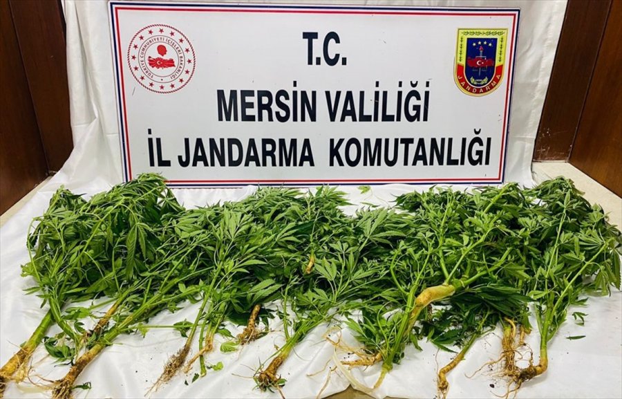 Mersin'de Uyuşturucu Operasyonunda 8 Şüpheli Yakalandı