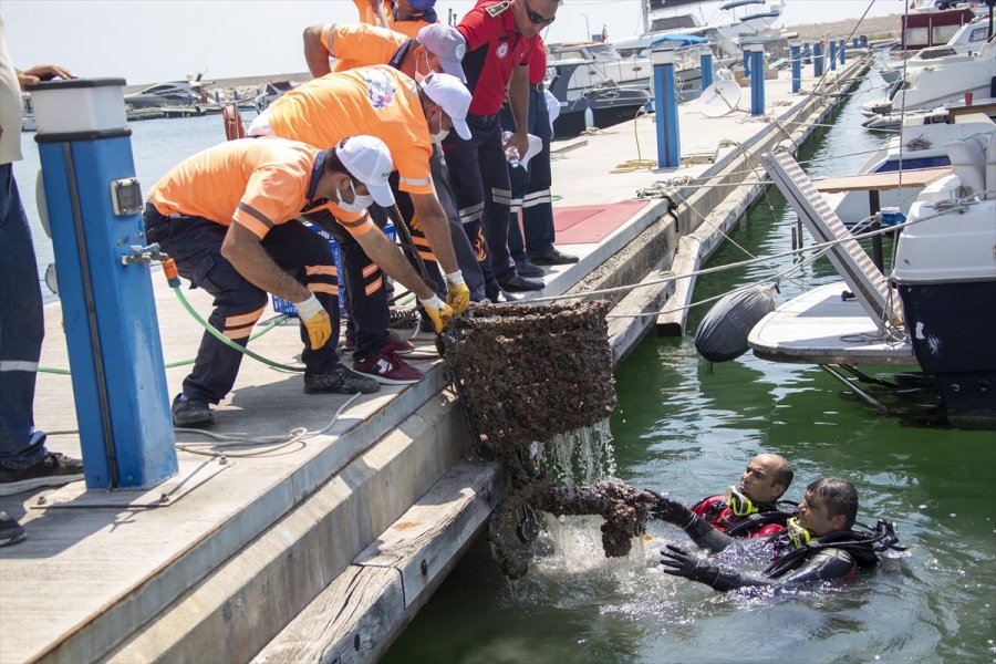 Mersin'de Deniz Dibinden Alışveriş Sepeti, Halat Ve Plastik Atıklar Çıktı