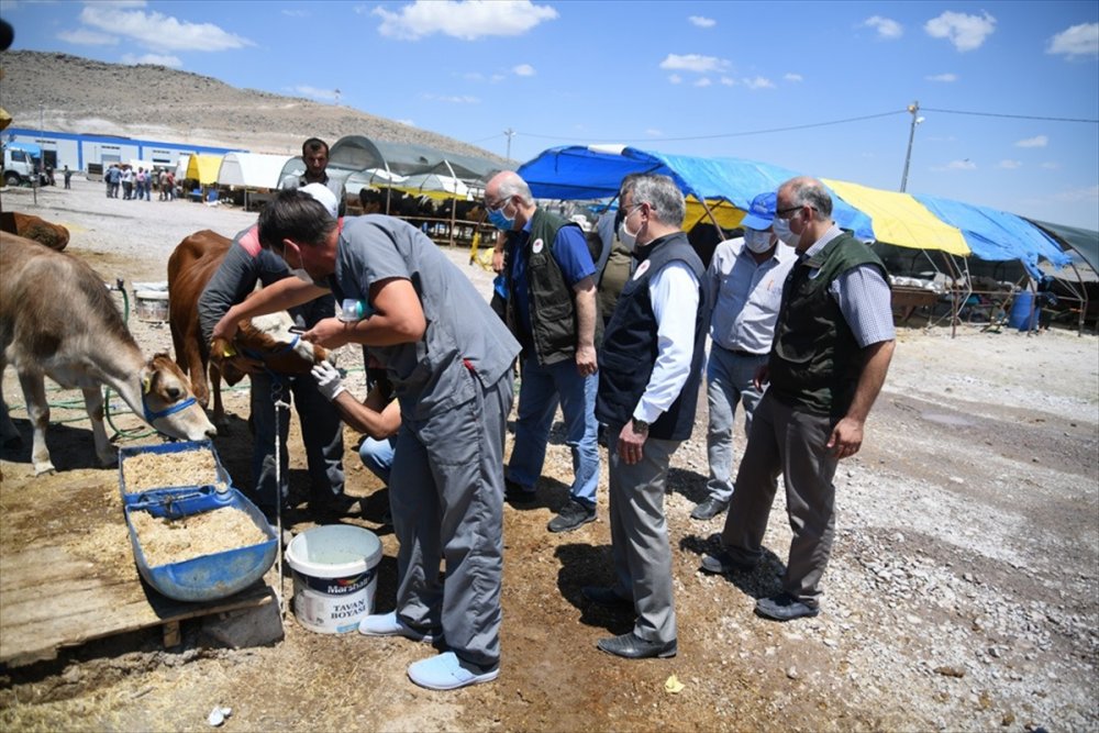 kayseri de kurban pazarlari denetlendi