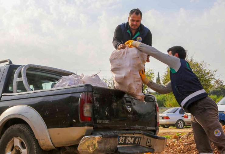 Budanan Dallar Yuvaları Isıtıyor