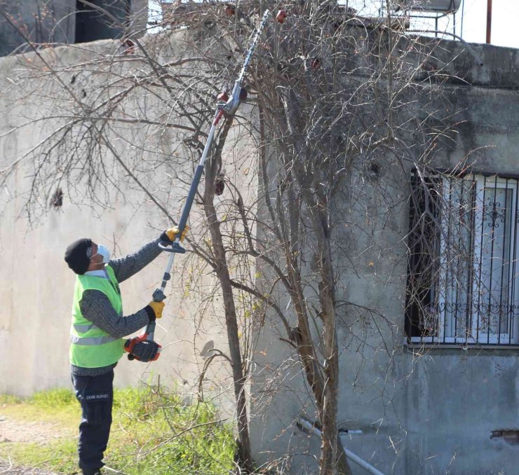 Budanan Dallar Yuvaları Isıtıyor