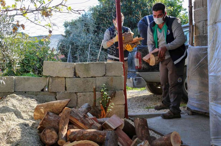 Budanan Dallar Yuvaları Isıtıyor