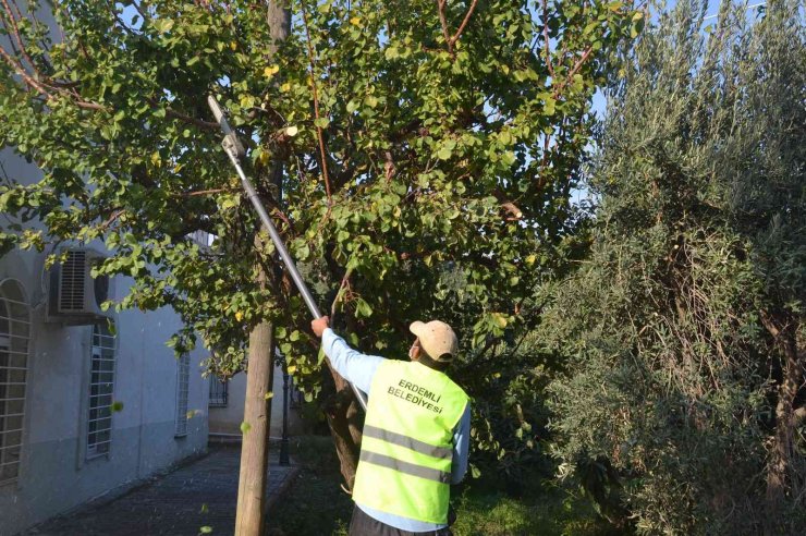 Budanan Dallar Yuvaları Isıtıyor