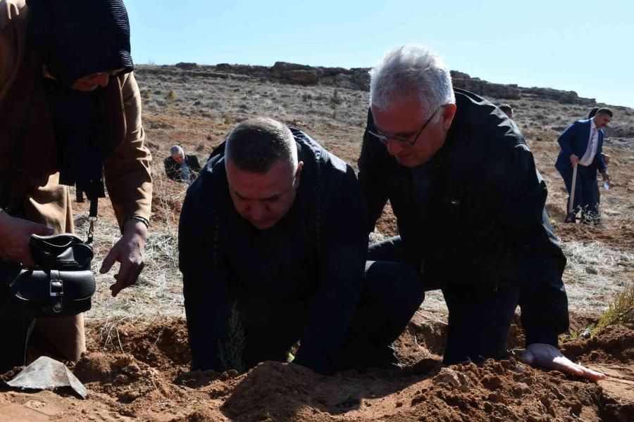 Aksaray’da Şehit Ve Gaziler İçin Fidan Dikildi