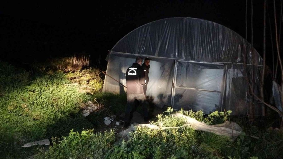 Antalya’da Yaşlı Adam Serada Ölü Bulundu, Ortağı Gözyaşlarını Tutamadı