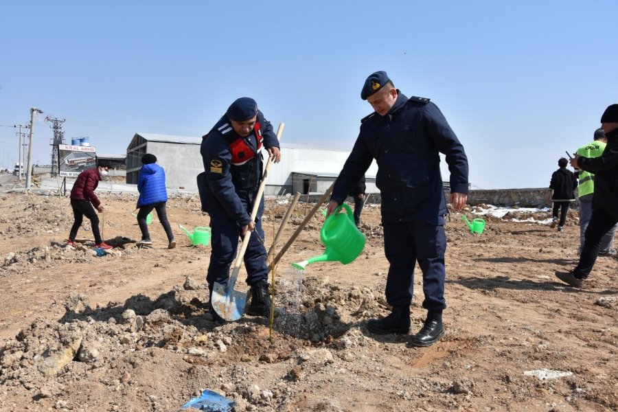 Konya’nın 4 İlçesinde Vatandaşlara 20 Bin Adet Ücretsiz Fidan Dağıtıldı